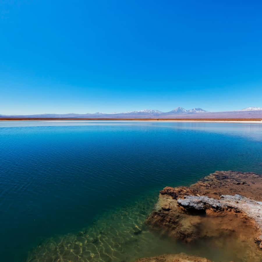 San Pedro de Atacama: Laguna Cejar - Why Laguna Cejar makes a strong first stop