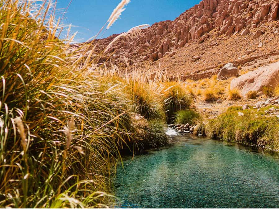 SAN PEDRO DE ATACAMA: PURITAMA HOT SPRINGS WITH ENTRANCE FEE - Why Puritama feels so special in the Atacama