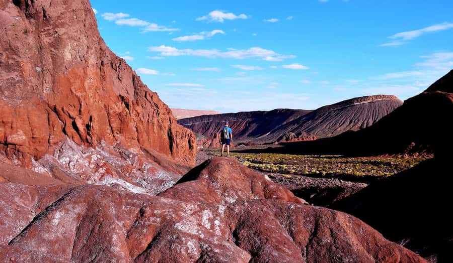 San Pedro de Atacama: Rainbow Valley & Good Herbs Tour - Who will enjoy this outing most