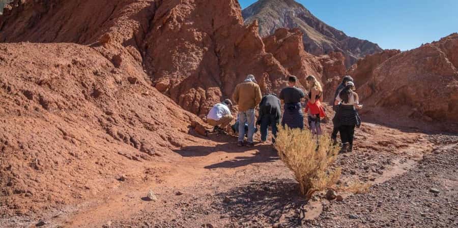 San Pedro de Atacama: Rainbow Valley & Good Herbs Tour - Practical tips for a smoother morning