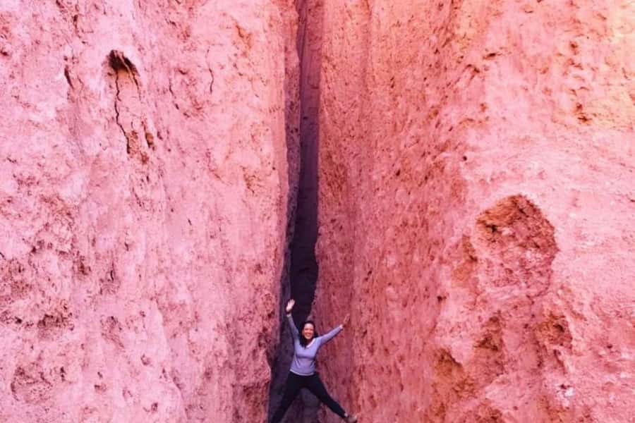 San Pedro de Atacama: Rainbow Valley & Good Herbs Tour - Reading the old petroglyphs