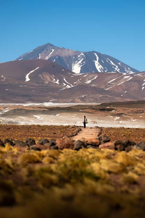 San Pedro de Atacama: Red Rocks & Altiplano Lagoons Day Trip - Is $129 good value?