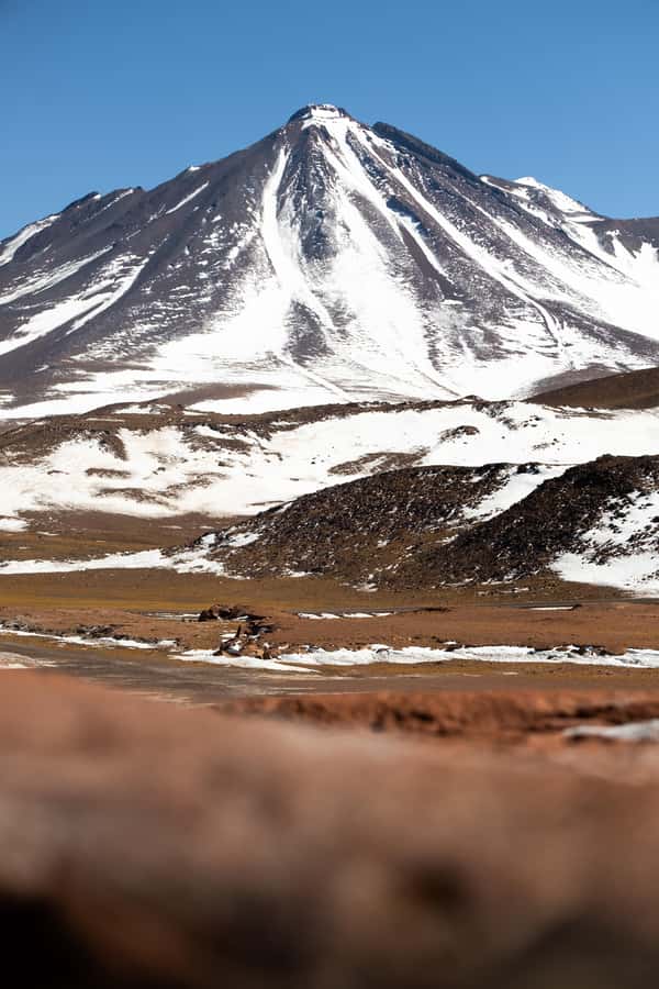 San Pedro de Atacama: Red Rocks & Altiplano Lagoons Day Trip - Chaxa Lagoon and the flamingo reserve