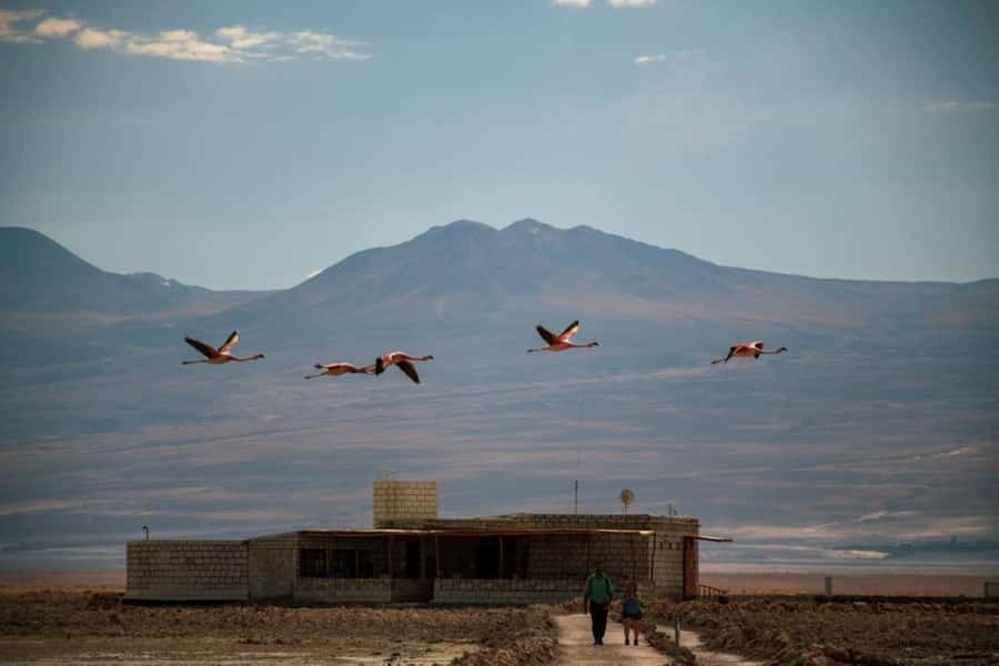 San Pedro de Atacama: Red Rocks and Aliplanic Lagoons - Key points at a glance