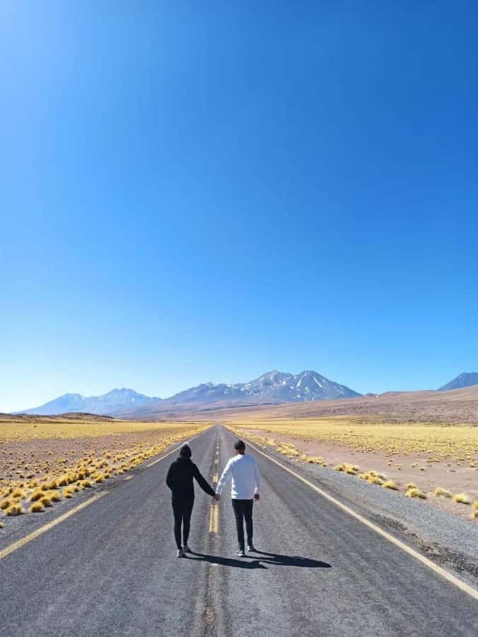 San Pedro de Atacama: Red Rocks and Aliplanic Lagoons - Miscanti and Miñiques at 4,200 meters
