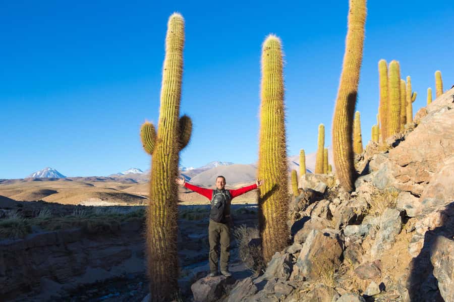 San Pedro de Atacama: Saver Pack Tatio Geysers + Moon Valley - Sunset over the Atacama Desert