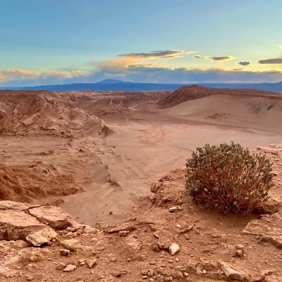 San Pedro de Atacama Tour Guiado Valle de la Luna & Cocktail - Sunset in the Atacama Desert