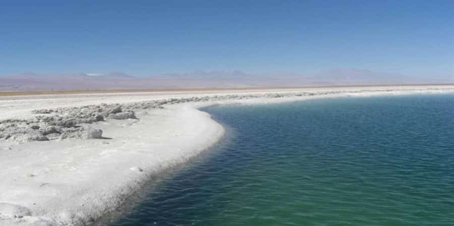 San Pedro de Atacama: Tour of Salar de Atacama Lagoons - Key points to know before booking