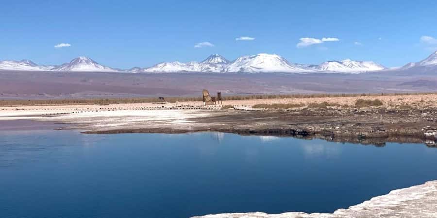 San Pedro de Atacama: Tour of Salar de Atacama Lagoons - Ojos del Salar: freshwater in an unlikely place
