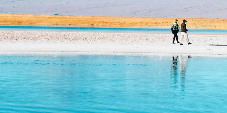 San Pedro de Atacama: Tour of Salar de Atacama Lagoons - What the four-hour schedule means for you