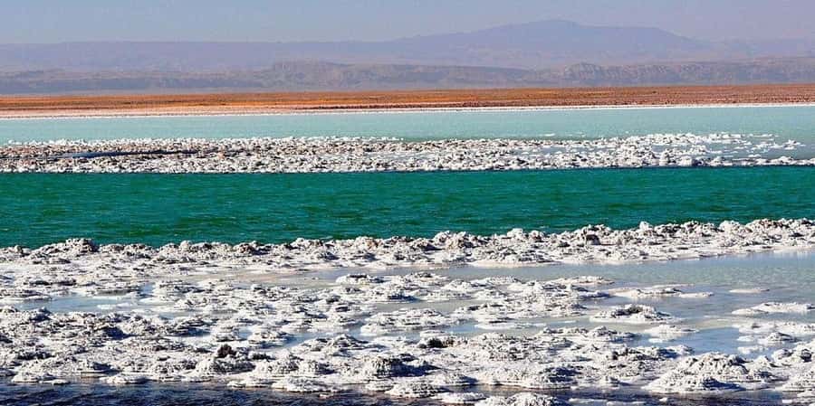 San Pedro de Atacama: Tour of Salar de Atacama Lagoons - Laguna Cejar and Laguna Piedra: the water stop