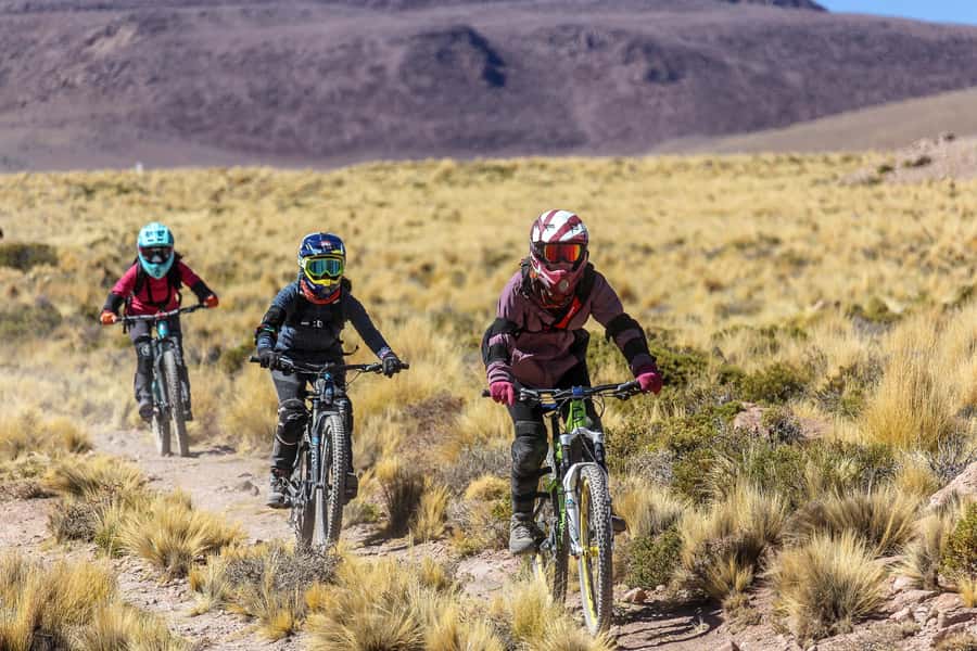 San Pedro de Atacama: Volcano Downhill Bike Tour - How the guides shape the experience
