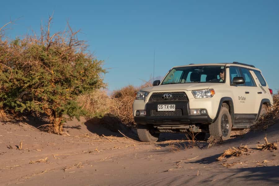 San Pedro de Atacama: Wildlife Safari and Photography Tour - What the guide adds to the day