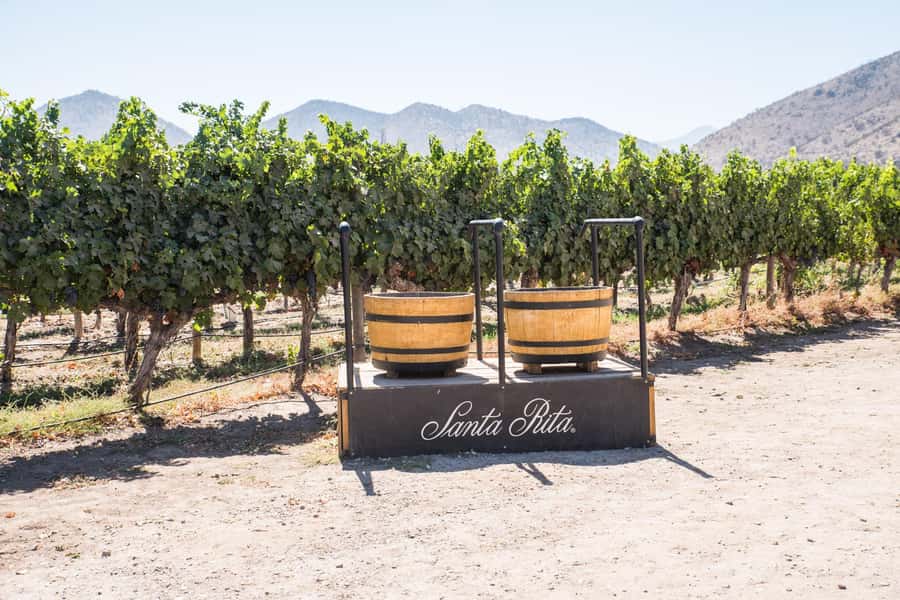 Santa Rita: Tour + Premium Wine Tasting + Private Transport - Key points before you book