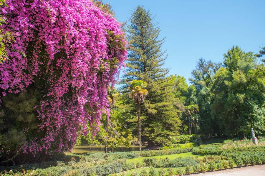 Santa Rita: Tour + Premium Wine Tasting + Private Transport - Why Santa Rita makes a strong Santiago day trip