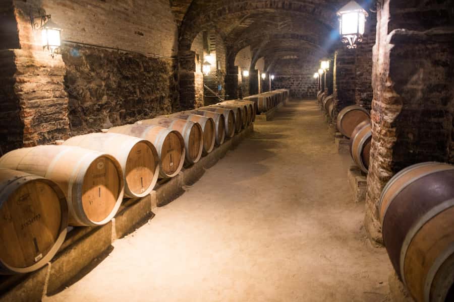 Santa Rita: Tour + Premium Wine Tasting + Private Transport - Walking through Santa Rita’s historic estate