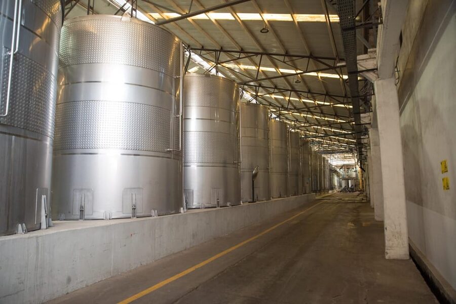 Santa Rita: Tour + Premium Wine Tasting + Private Transport - What the $184 price really covers
