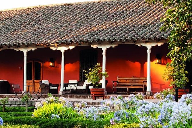 Santa Rita vineyard tour - Why Santa Rita works for a first wine-country outing