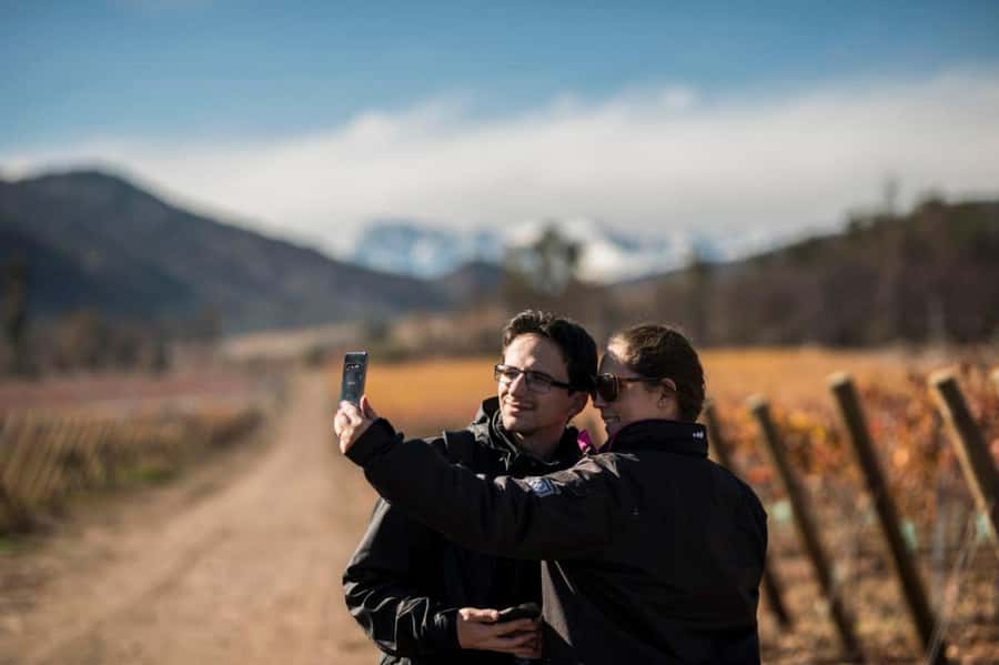 Santa Rita Vineyard Tour: History, Wine, and Outdoor Picnic - Why Santa Rita makes a good day trip from Santiago