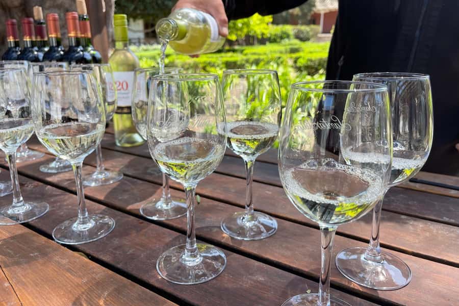 Santa Rita Vineyard Tour: History, Wine, and Outdoor Picnic - The Andean Museum and its 3,000-plus objects