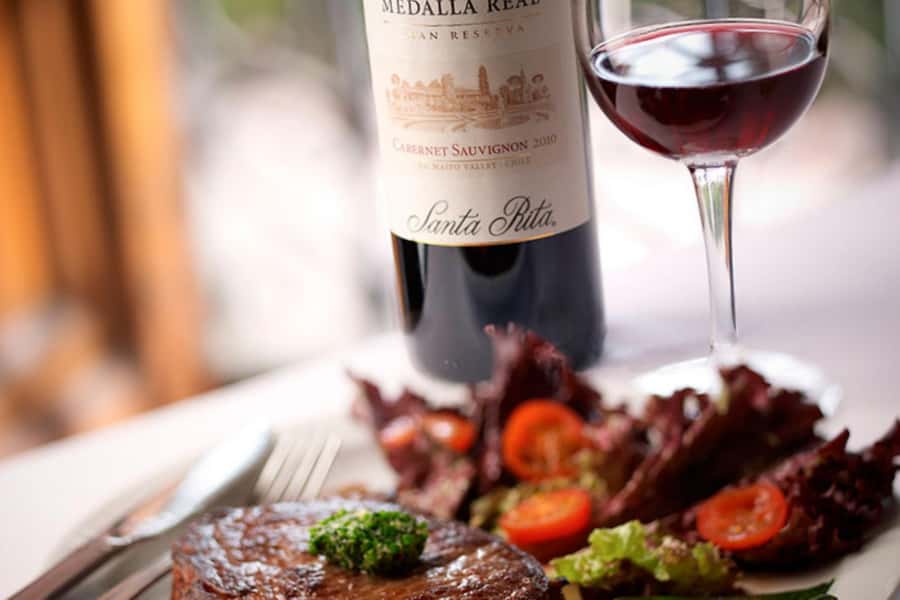 Santa Rita Vineyard Tour with Lunch, an Unforgettable Day! - Practical advice for making the day better