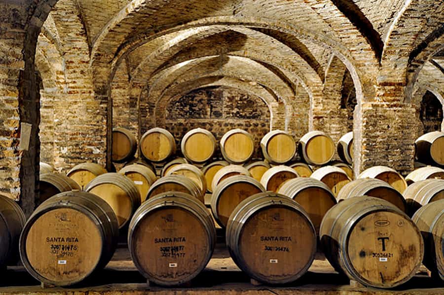 Santa Rita Vineyard Tour with Lunch, an Unforgettable Day! - Is $207 per person a fair price?