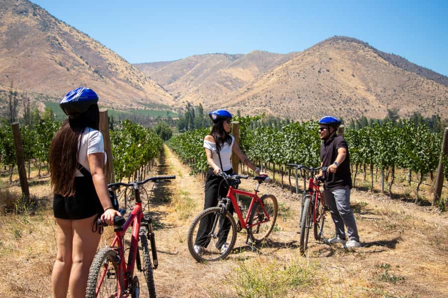 Santa Rita Vineyard Tour with Lunch, an Unforgettable Day! - Who will enjoy this Santa Rita tour most?