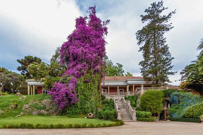 Santa Rita Vineyard Tour with Lunch An unforgettable experience! - From Santiago to the Maipo Valley