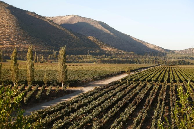 Santa Rita Winery Premium Tour - The Andean Museum adds a different Chilean story
