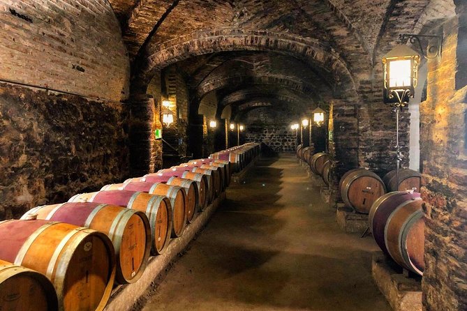 Santa Rita Winery Selection Tour - Is $44.80 a fair price?