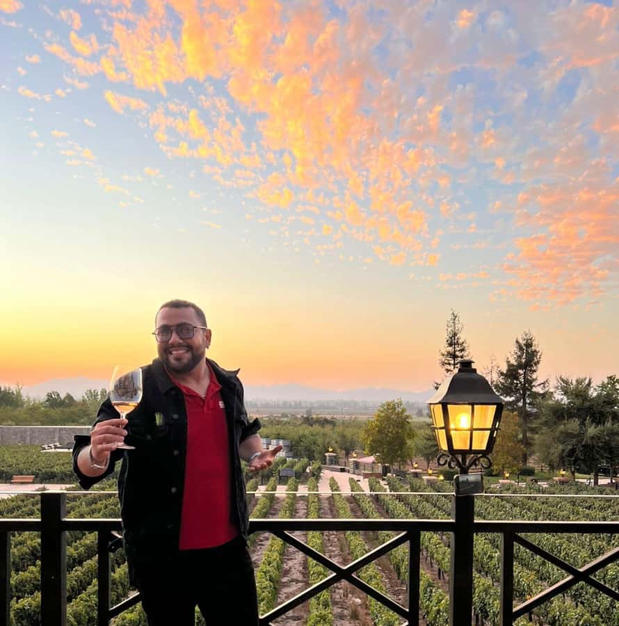 Santiago: Alyan Winery Sunset with Wine Tastings and Dinner - Tasting the Family Ambassador wines