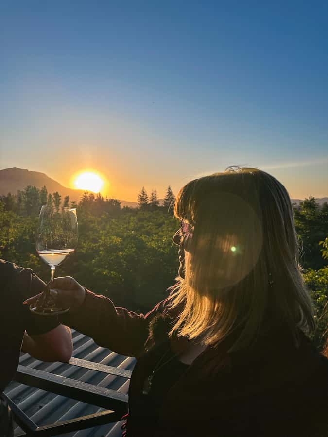 Santiago: Alyan Winery Sunset with Wine Tastings and Dinner - Who will enjoy this most?