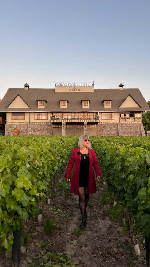 Santiago: Alyan Winery Sunset with Wine Tastings and Dinner - A gentle first look at Alyan Family Wines