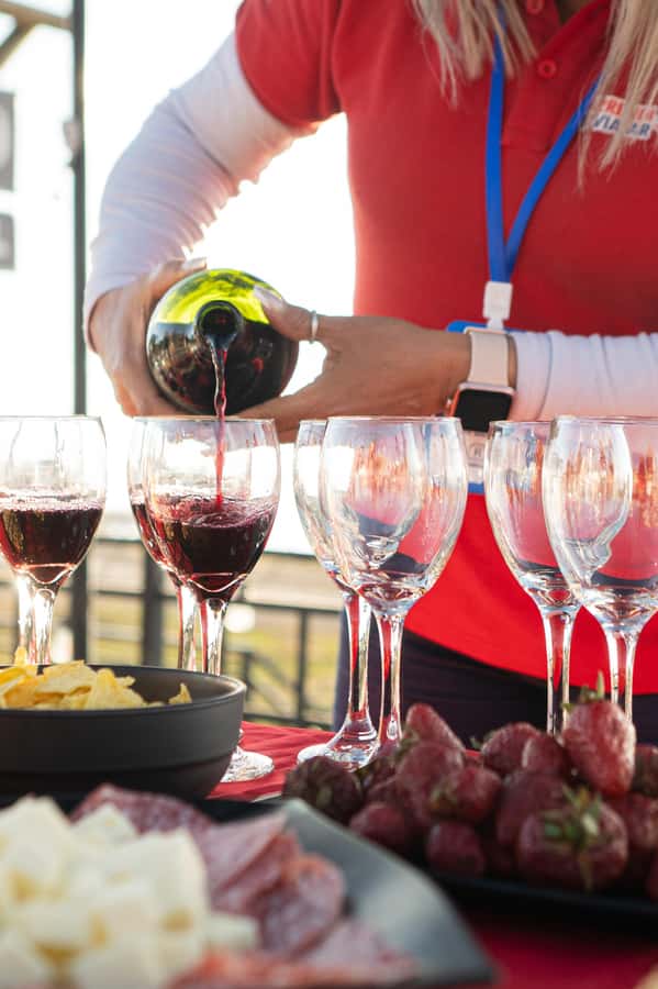 Santiago: Andes Mountains Sunset and Valle Nevado & Picnic - Starting in Santiago: pickup matters