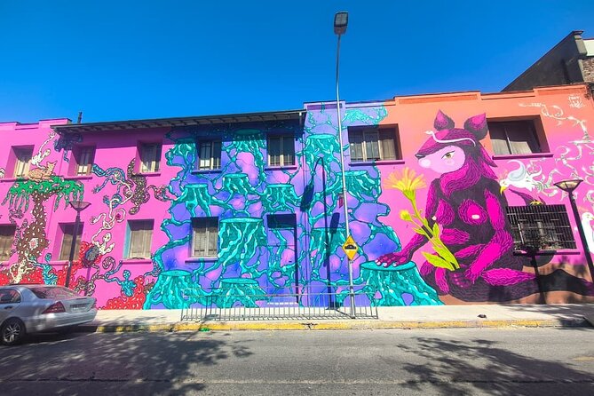 Santiago Barrio Yungay Street Art Walking Tour Experience - Key points to know before you book