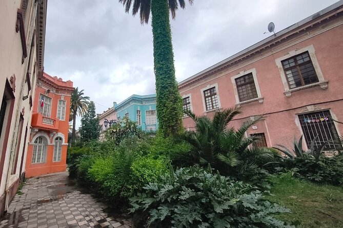Santiago Barrio Yungay Street Art Walking Tour Experience - The Museum of Memory in 30 focused minutes