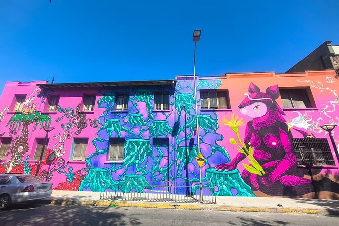 Santiago Barrio Yungay Street Art Walking Tour Experience - Walking through Yungay’s old streets