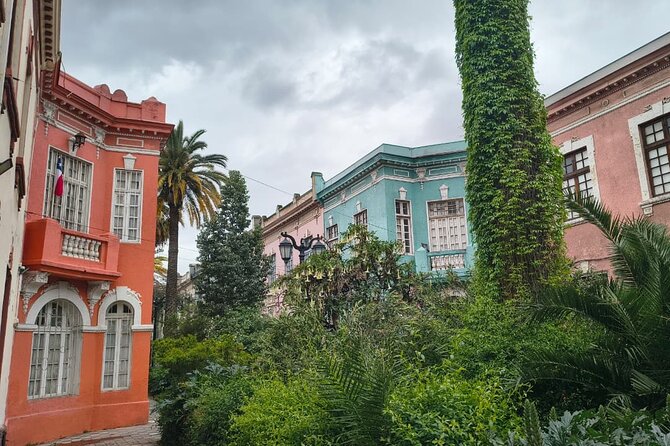 Santiago Barrio Yungay Street Art Walking Tour Experience - Cités and the Adriana Cousiño stop