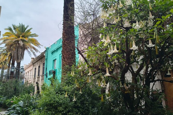 Santiago Barrio Yungay Street Art Walking Tour Experience - A short crossing through Barrio Brasil
