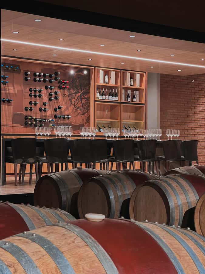 Santiago: Casa del Bosque Winery with Tasting and Lunch - Should you book Casa del Bosque?