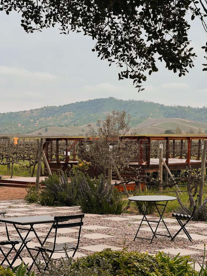 Santiago: Casa del Bosque Winery with Tasting and Lunch - Why Casa del Bosque makes a good Santiago day trip