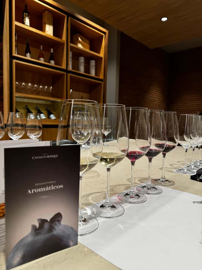 Santiago: Casa del Bosque Winery with Tasting and Lunch - Four wines with a sommelier guide