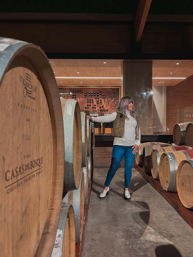 Santiago: Casa del Bosque Winery with Tasting and Lunch - Timing, comfort, and small restrictions