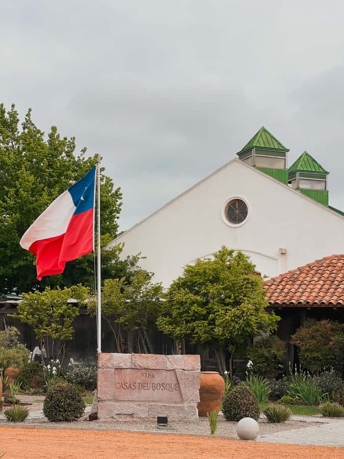 Santiago: Casa del Bosque Winery with Tasting and Lunch - Leaving Santiago by hotel transfer