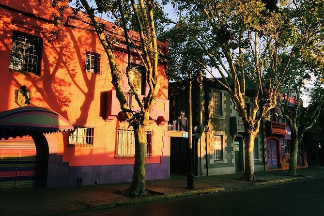 Santiago city tour - Forest Park and the Museum of Contemporary Art