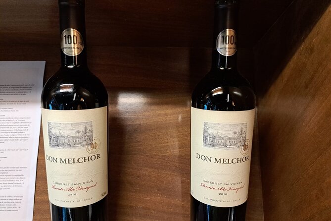 Santiago City Tour + Ancestral Lunch & Concha y Toro Winery - Concha y Toro adds a proper wine-country finish