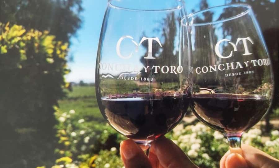 Santiago: Concha & Toro Winery Concha & Toro Premium Tour - Key points to know before booking