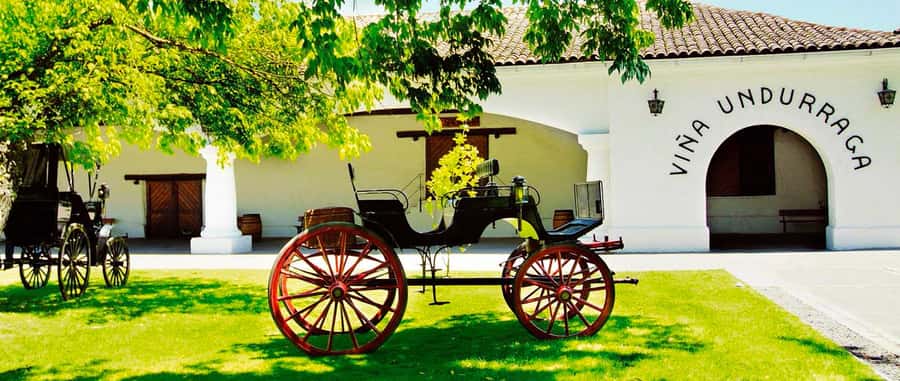 Santiago: Concha y Toro and Undurraga Vineyards Tour - Key points to know before booking