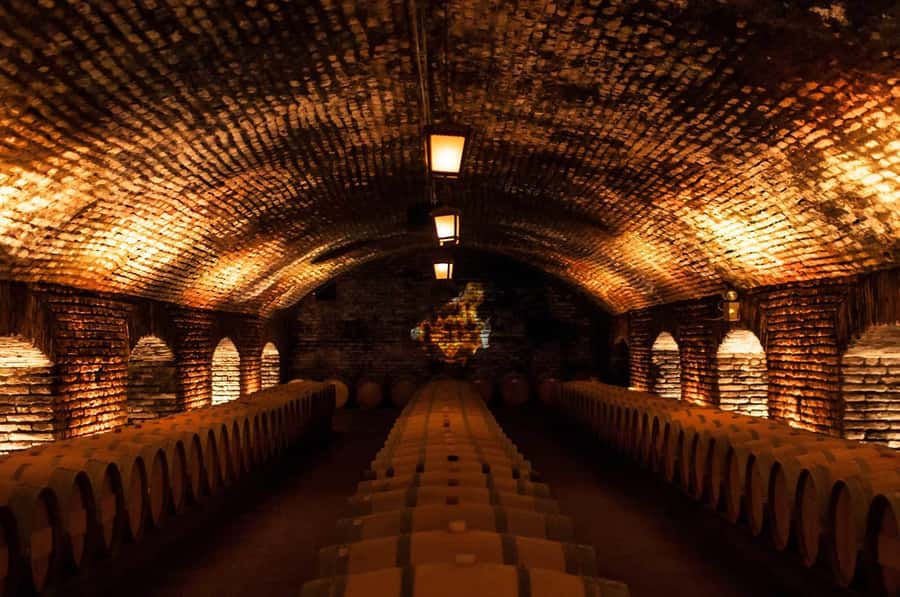 Santiago: Concha y Toro and Undurraga Vineyards Tour - Why the Maipo Valley makes a good day from Santiago