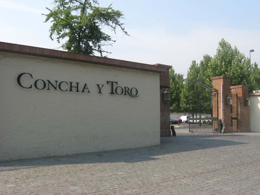 Santiago: Concha y Toro and Undurraga Vineyards Tour - The tastings at Concha y Toro